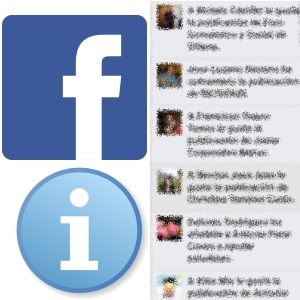 Barra-de-Informacion-Facebook-Fran-Bravo-Gestion-de-presencia-en-internet-Social-Media-Community-Manager-Blogs-Blogger-Villena-Alicante-
